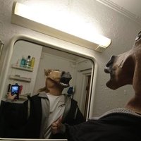 Object_Reference (@noobject_ref) 's Twitter Profile