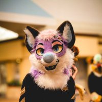 Luxe (@luxethefox) 's Twitter Profile