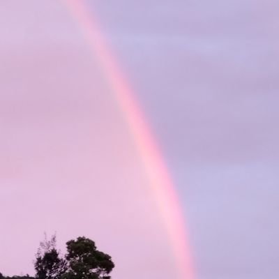mt777dr's profile picture. 