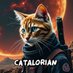Catalorian (@cataloriancat) Twitter profile photo Catalorian (@cataloriancat) Twitter profile photo