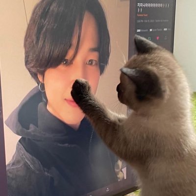 injeolmichris's profile picture. 🍙 ｡.:*･ | 𓊆ྀི𝑳𝒂𝒍𝒚 𝒊𝒔 𝒎𝒖𝒔𝒆𓊇ྀི | @hilaltuti★