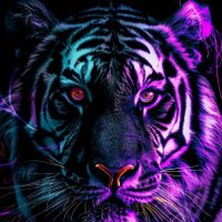 lee Isaac (@simonisaac004) 's Twitter Profile