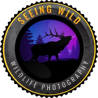 seeingwild's profile picture. Love nature, wildlife, photography, and exploring this great planet we live on. I sometimes walk along a different path, but would have it no other way!