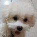 Carolina Hernández (@carolin98393557) Twitter profile photo Carolina Hernández (@carolin98393557) Twitter profile photo
