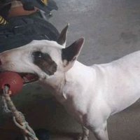 GGG (@gabriel51934097) 's Twitter Profile