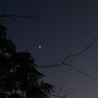إيمان. (@emanse0) 's Twitter Profile