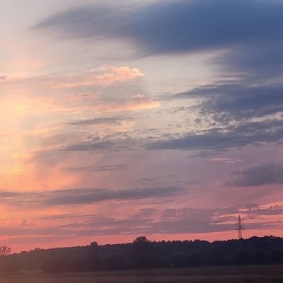 nw11101990's profile picture. 100% follow back