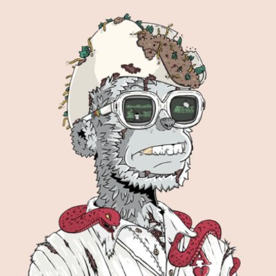 KaktusJakson's profile picture. Sup, nft enjoyer, LFG