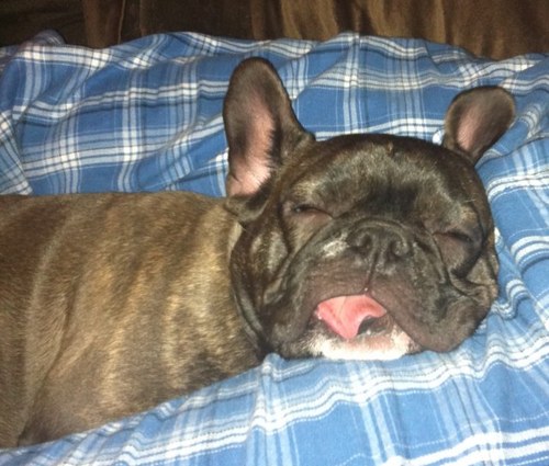 RHolsing's profile picture. 