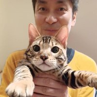 廣田電気@ KTM🇦🇹HONDA🇯🇵 (@lry25dlovhqqebc) 's Twitter Profile