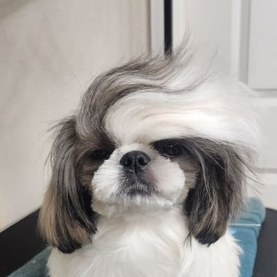 nanana62572465's profile picture. 