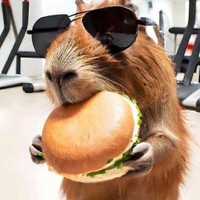 Capibara_211515's profile picture. 