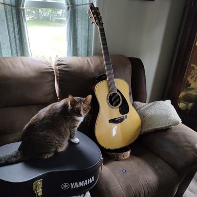 hey acoustic guitar fan...Jesus Fan!!!!! and family man work as a chef in a senior faclility love life in general PS4 pro player. Yamaha and dangelico guitars