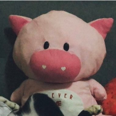 ⚆ _ ⚆さんのプロフィール画像