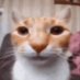 Morgan (@m69553314morgan) Twitter profile photo Morgan (@m69553314morgan) Twitter profile photo