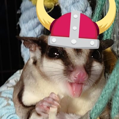 C0QDwWrsTo57211's profile picture. 