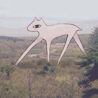 Squid (@squindino) Twitter profile photo
