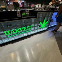 コかイン@パインの糞 (@opopopopopo3150) 's Twitter Profile