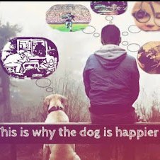 Aydenmungus's profile picture. 