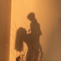 am (@ama_120) 's Twitter Profile