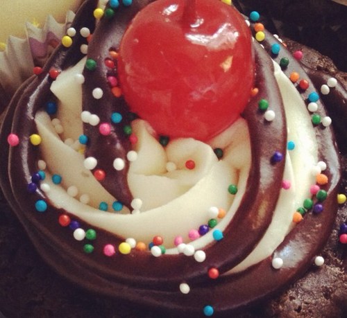 redtailsam's profile picture. 