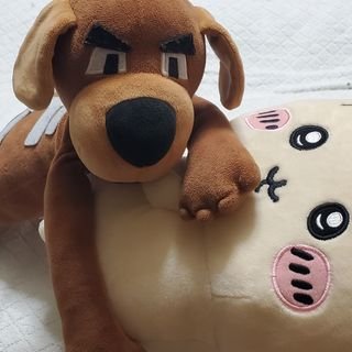 絛 泉燭（さなだ いおり）さんのプロフィール画像