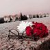 Maryam Nawaz (@nawaz_mary19548) Twitter profile photo Maryam Nawaz (@nawaz_mary19548) Twitter profile photo