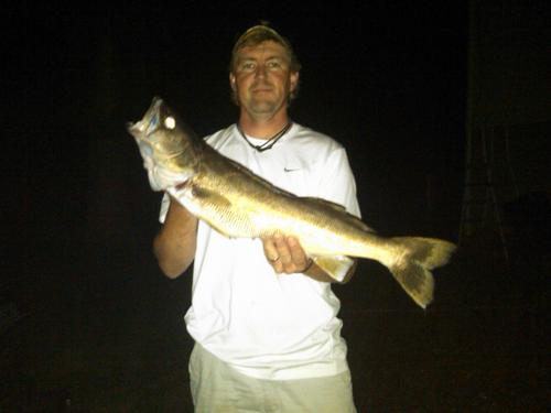 blbd24's profile picture. 