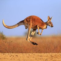 Roo (@peter1047485) 's Twitter Profile Photo Roo (@peter1047485) 's Twitter Profile Photo
