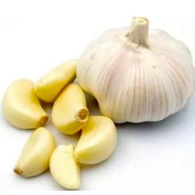 BadGarlicbreath's profile picture. 🧄