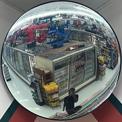 blkwalflwer's profile picture. 1876🐾 1914🕊️