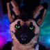 Ryker (GOH ACFI25) (@rykertheshep) Twitter profile photo Ryker (GOH ACFI25) (@rykertheshep) Twitter profile photo