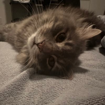 blossombaety's profile picture. Quand j'ai envie de me plaindre.