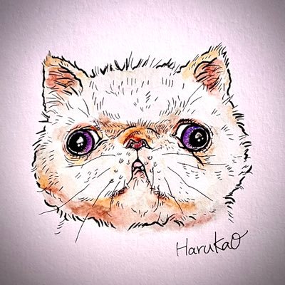 はるかお（しろねこ）。さんのプロフィール画像