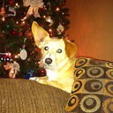 Melissa Kerns - @MelKerns82 - Twitter