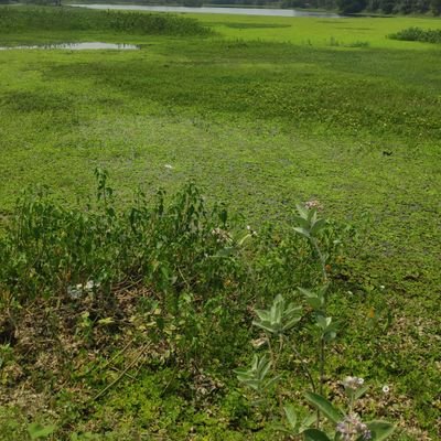 ParthiP06727852's profile picture. 