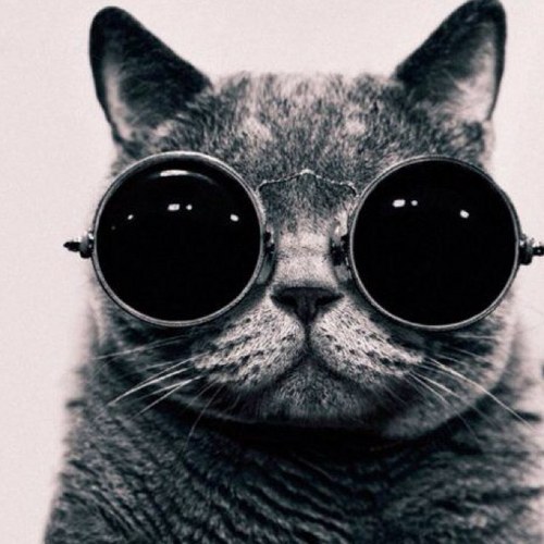 clem_flem's profile picture. 