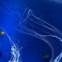 動くぞ (@ugoite_55) Twitter profile photo