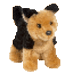 coraline (@shibrawri) Twitter profile photo coraline (@shibrawri) Twitter profile photo
