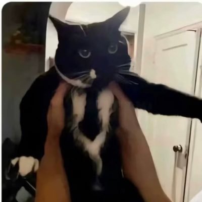 ZRZZRZZRZZ35841's profile picture. Strong curiosity is the most powerful talent of human beings.