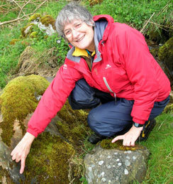 Lichens, Grasses, Sedges, Flowers, Nature Lockdown Walks,