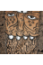 timonsk8's profile image