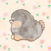 きなこ (@gh_tms) Twitter profile photo