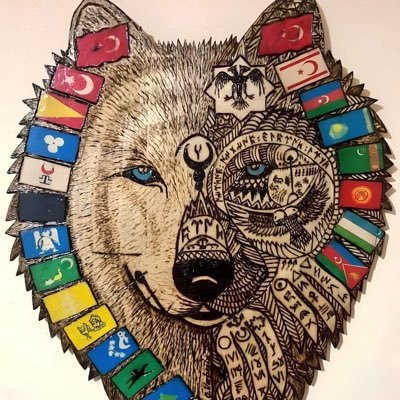 🇹🇷 Vatansever Türk Milliyetçisi, İnşaat Mühendisi