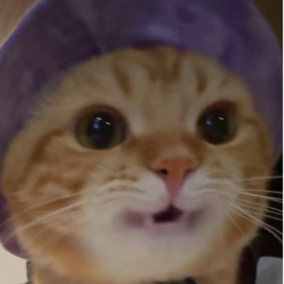 hi_hl_hi_hi_hi's profile picture. 