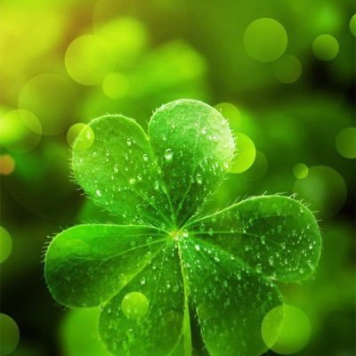 tom_ngg's profile picture. 