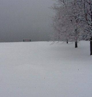 cwayview's profile picture. I support the Palestine people and their right to resist an occupation.  I endorse peaceful, non violent solutions to all problems.