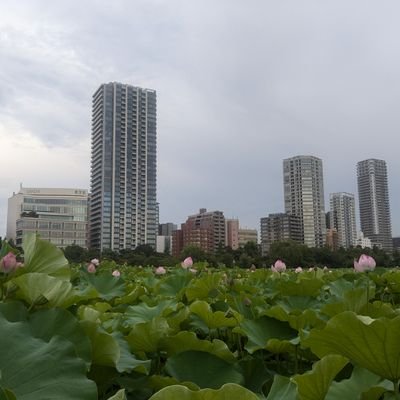 差別反対