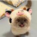 bleh (@alta1bleh) Twitter profile photo bleh (@alta1bleh) Twitter profile photo
