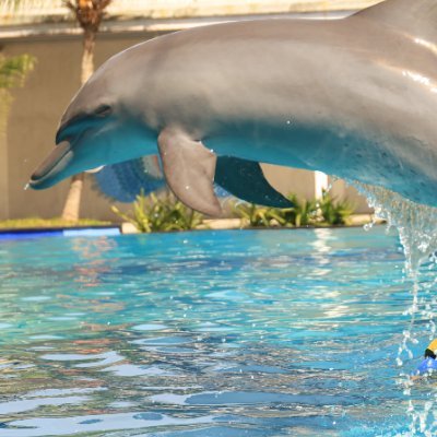 sunarafoods's profile picture. 